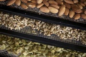 Nuts on racks in food dehydrator