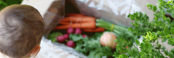 Grocery delivery box full of produce