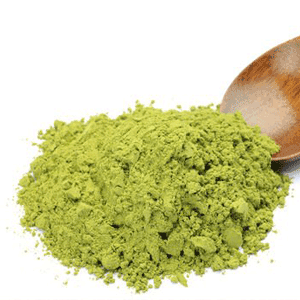 Scoop of pea protein powder