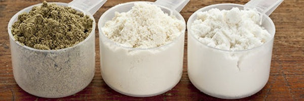 Comparison of protein powders