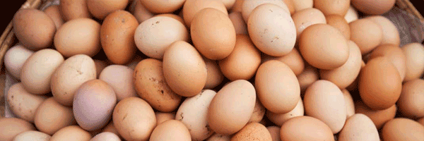 Pile of brown chicken eggs in basket