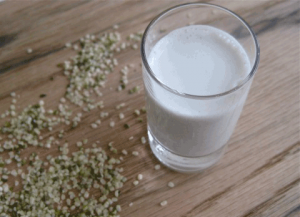 Hemp milk in glass