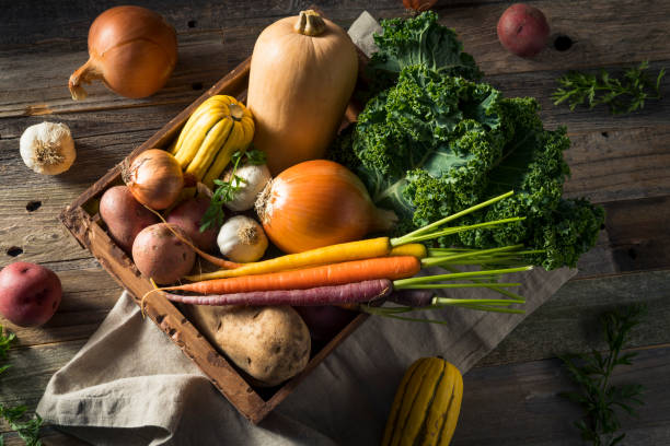 Changing Tastes: How the Seasons Shape Our Food Preferences