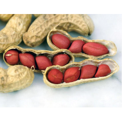 Organic raw in-shell peanuts