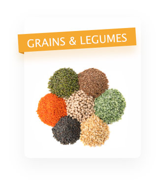 Organic Grains & Legumes